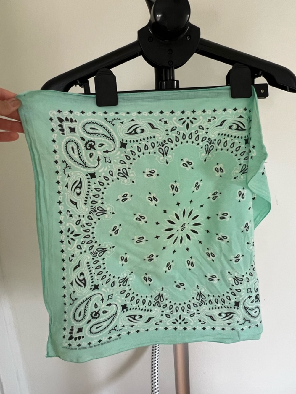 Mint Green Paisley Bandana Scarf